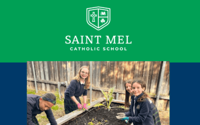 2025-2026 Open Enrollment!
