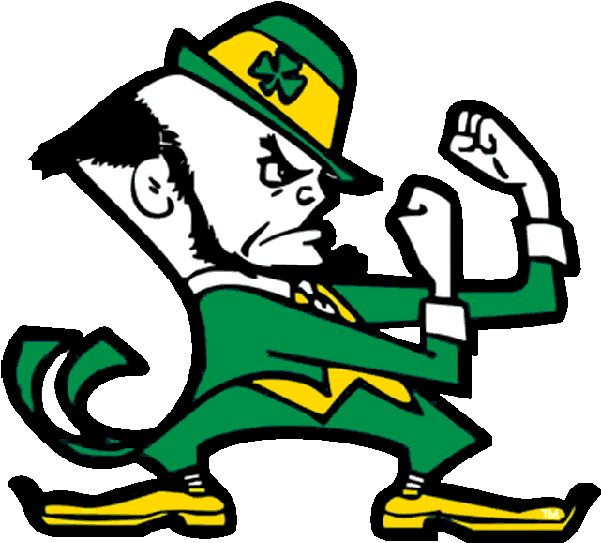 Our Fighting Irish! - St. Mel Catholic School